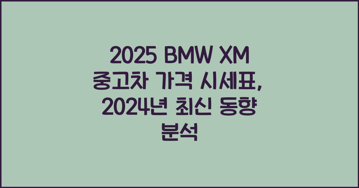 2025 BMW XM 중고차 가격 시세표