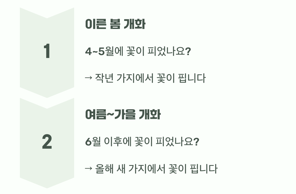 가장 큰 비밀, '언제' 꽃이 피었나요?