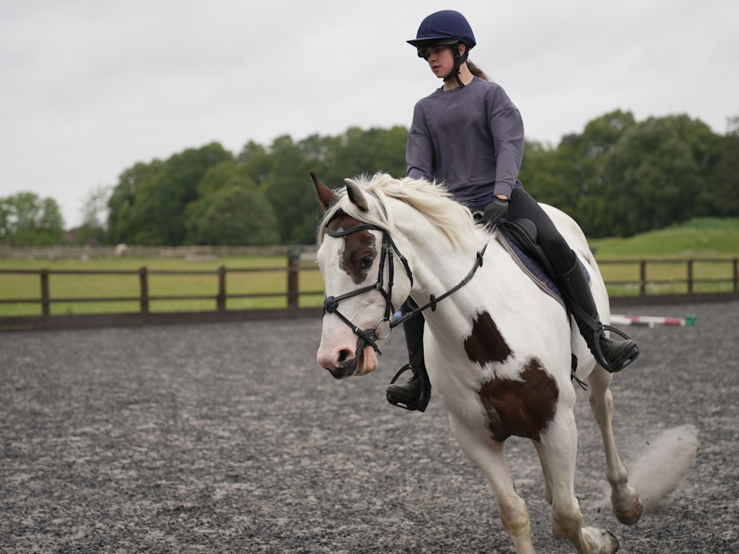 Trot