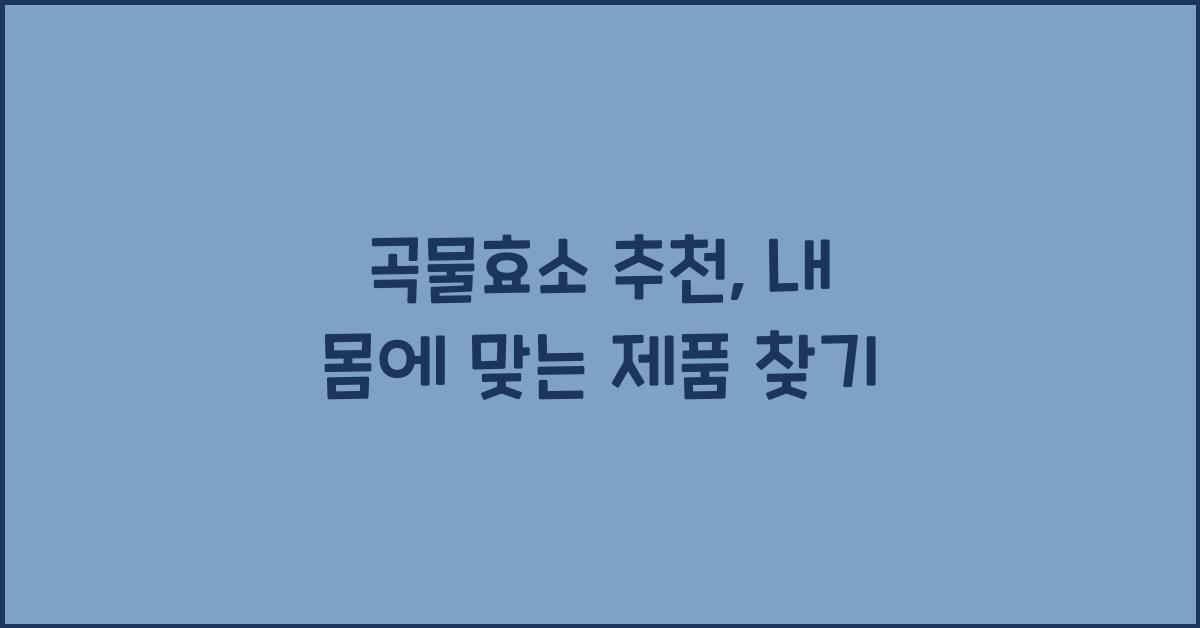 곡물효소 추천