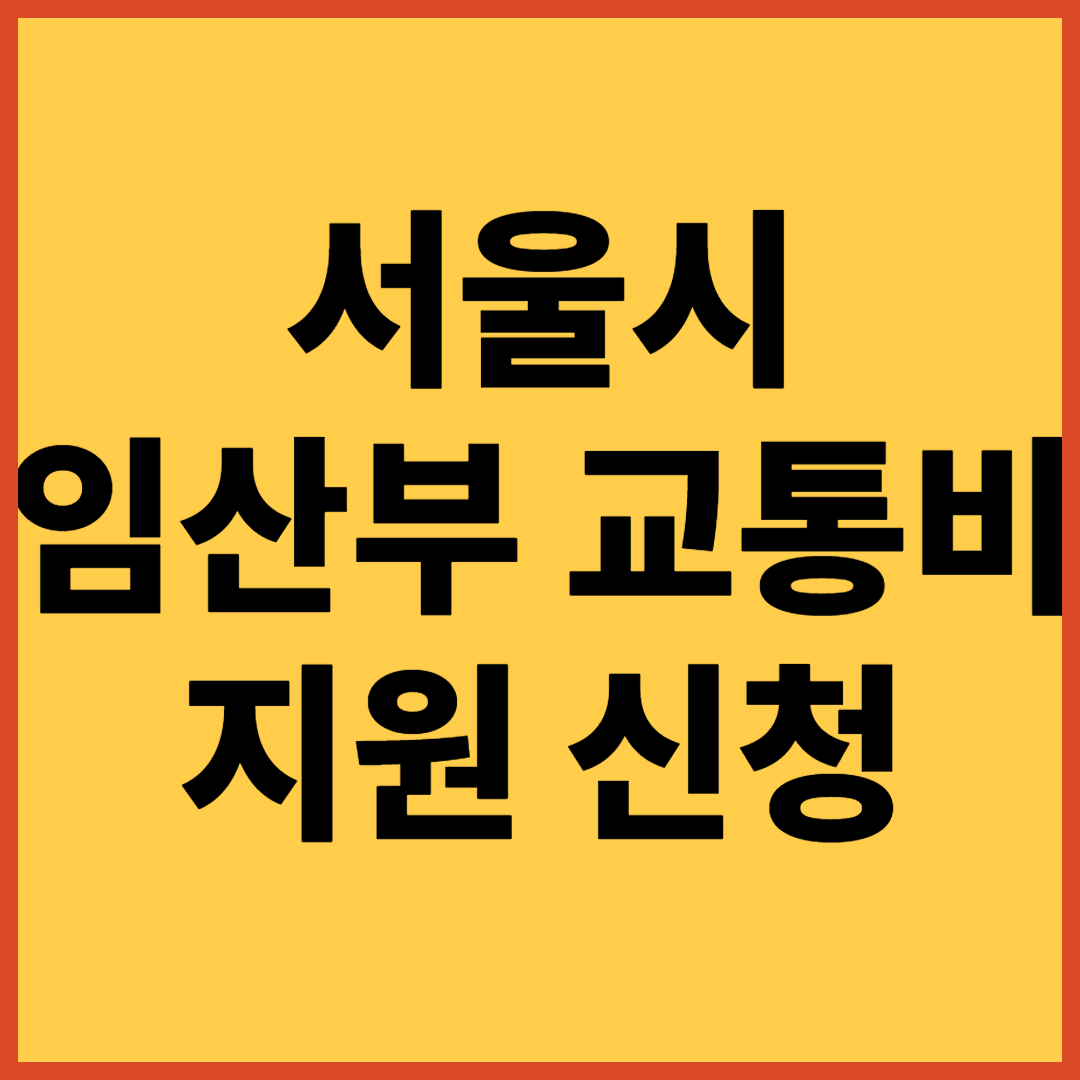 서울시 임산부 교통비 지원