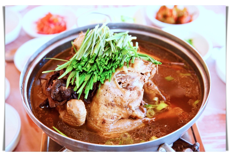 생방송투데이-능이버섯백숙-맛집
