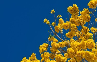 입춘대길 붙이는 시간 방법