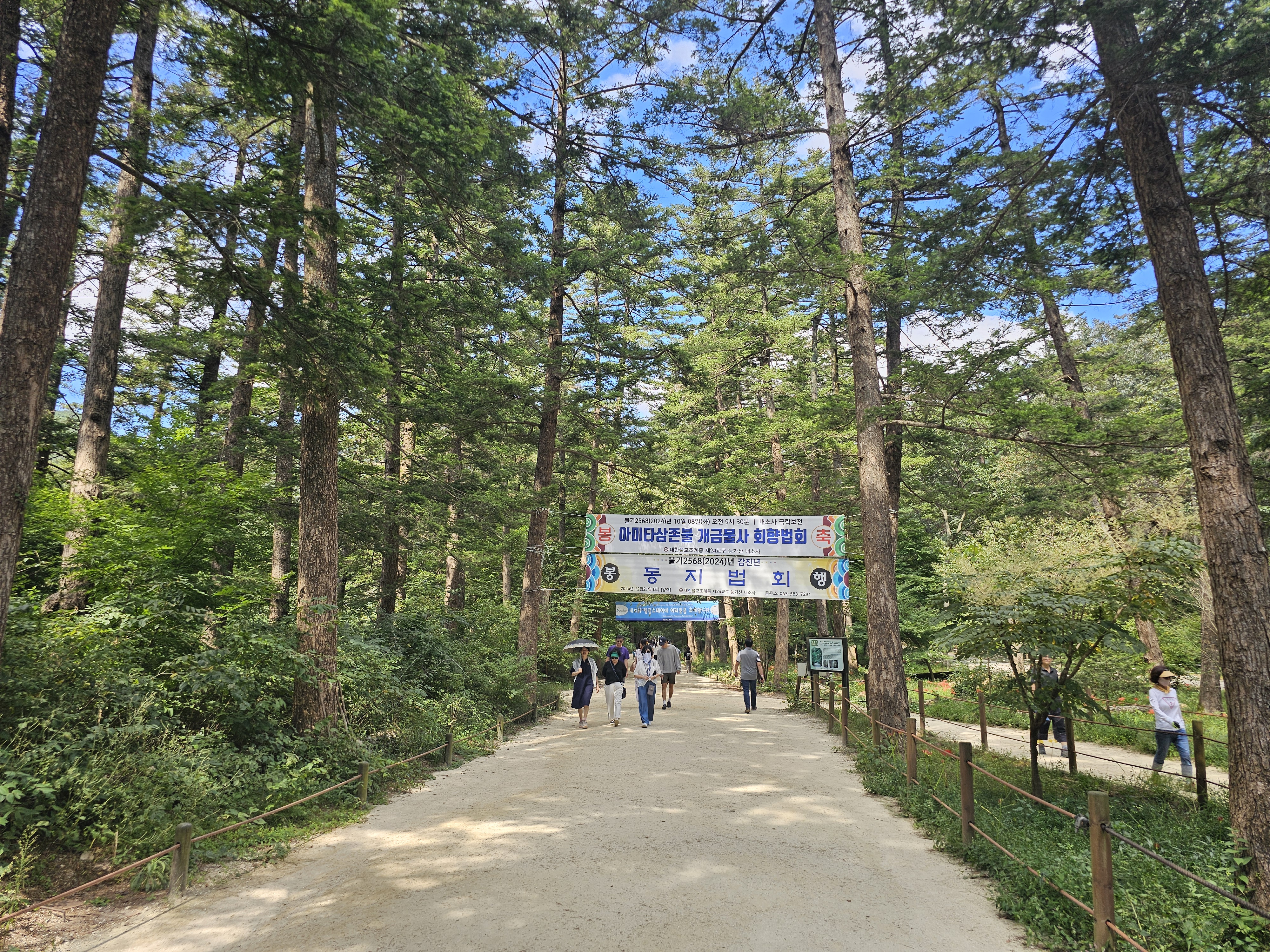 전북 부안 내소사 전나무숲길