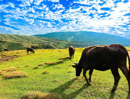 대만-입국신고서-작성법