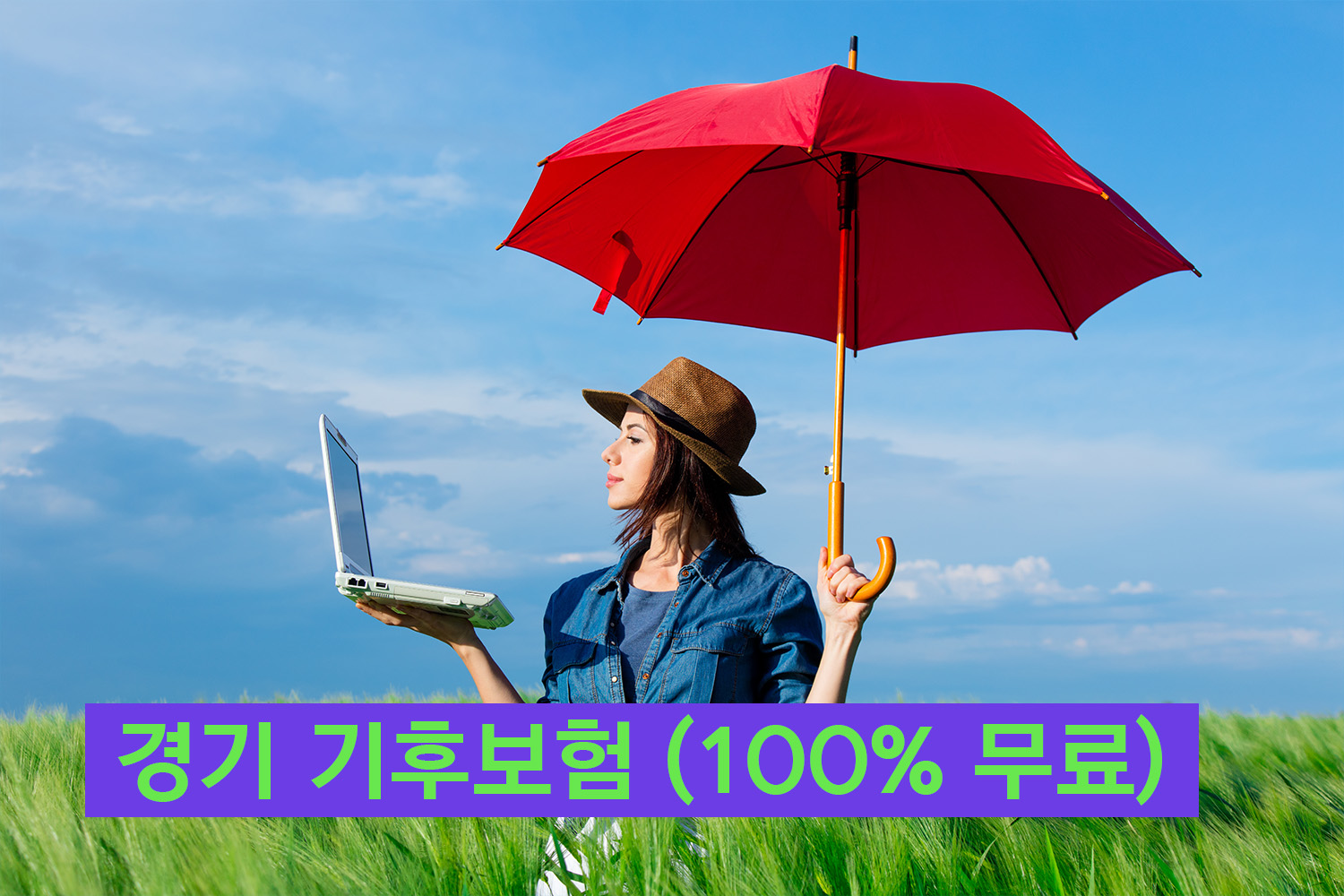 경기 기후보험