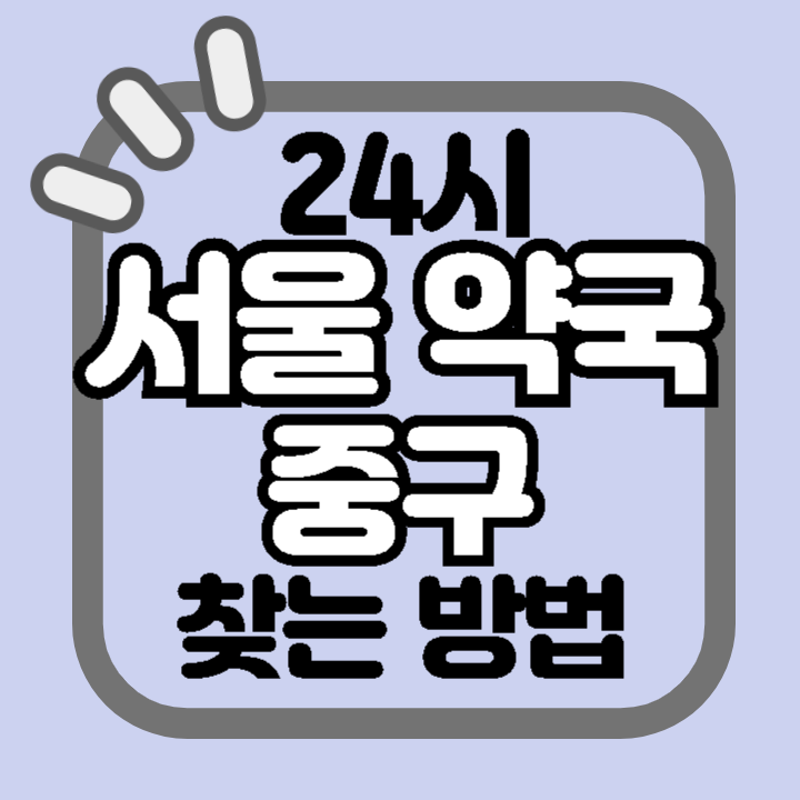 서울 중구 명동 24시 야간 주말 공휴일 명절 추석 설 약국 병원 동물병원 찾기