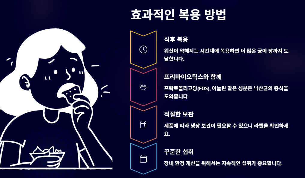 낙산균 효능과 부작용, 꼭 알아야 할 핵심 정보