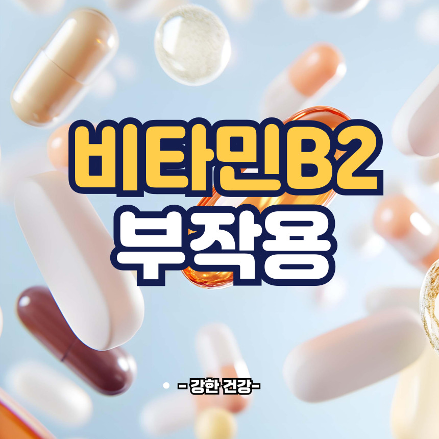 비타민b2 부작용