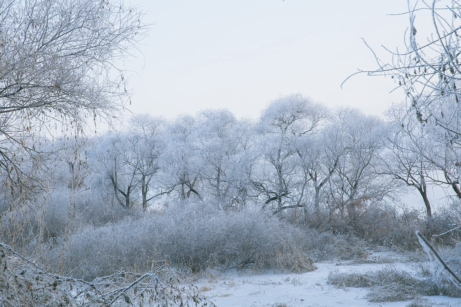 춘천 상고대 명소6