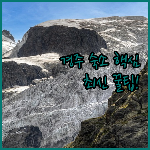 경주 여행 숙소 추천 황리단길 근처 ..