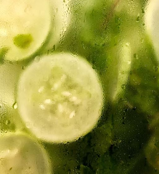오이 효능