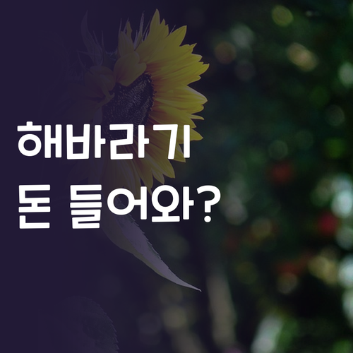 돈 들어오는 해바라기 그림! 풍수 인..