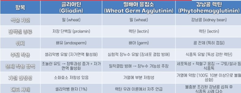 렉틴,글리아틴, 밀배아 응집소에 대한 조리방식에 대한 정리