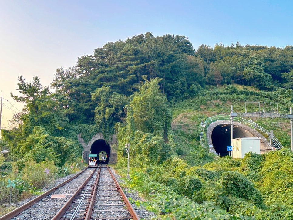 전주 레일바이크