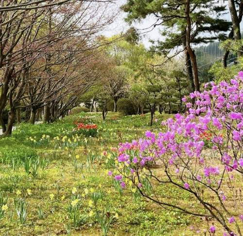 벽초지-수목원-파주-여행