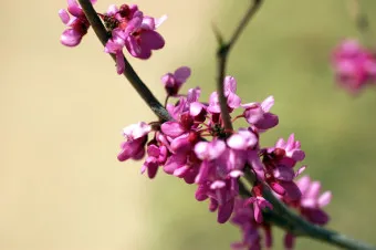 손자병법 작전편 전쟁 국력 역사_14