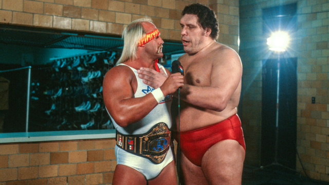 헐크 호건 사망 원인