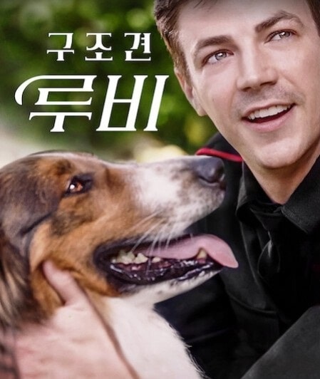 영화 구조견 루비 포스터 모습