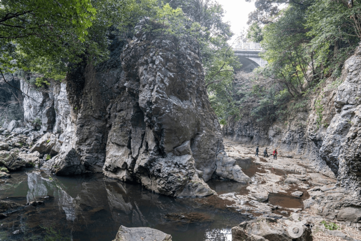 서귀포시 안덕계곡