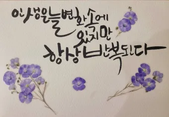 캘리크라피 글귀 모음 명언 문구 모음집_16