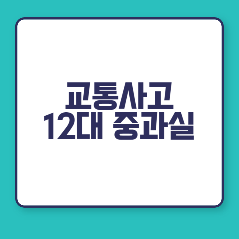 교통사고 12대 중과실
