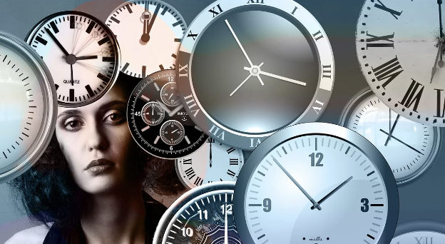 영화 속 시간 여행이 설정된 방식 비교