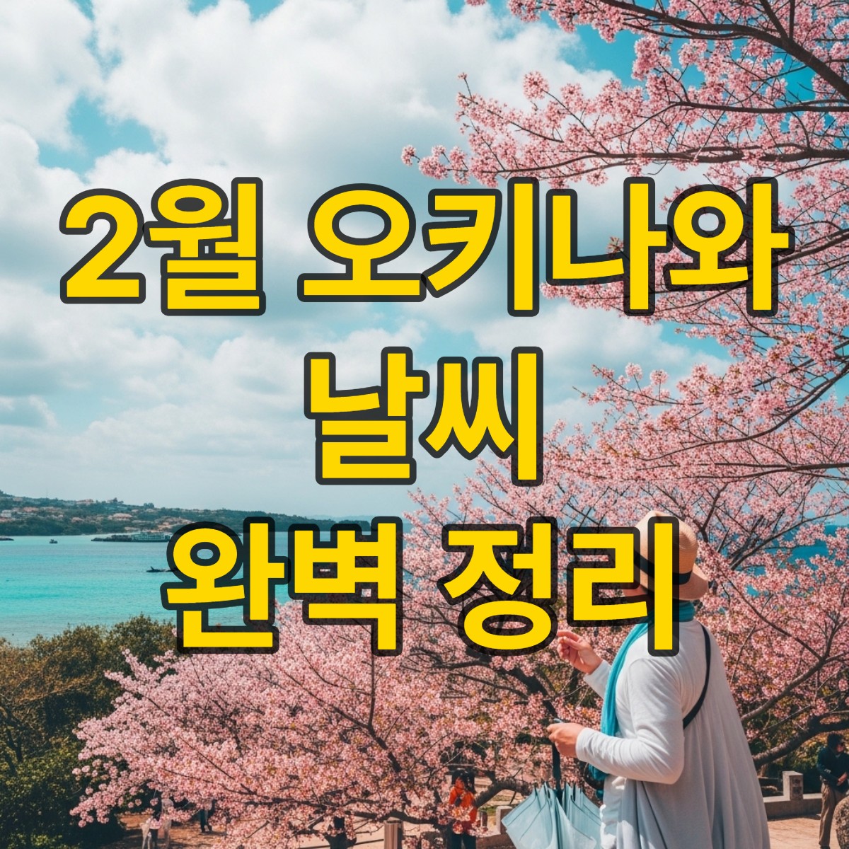 오키나와 2월 날씨