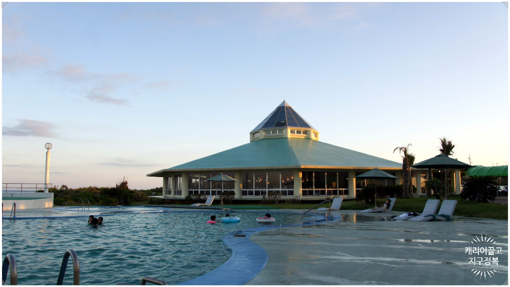 오키나와 소라게