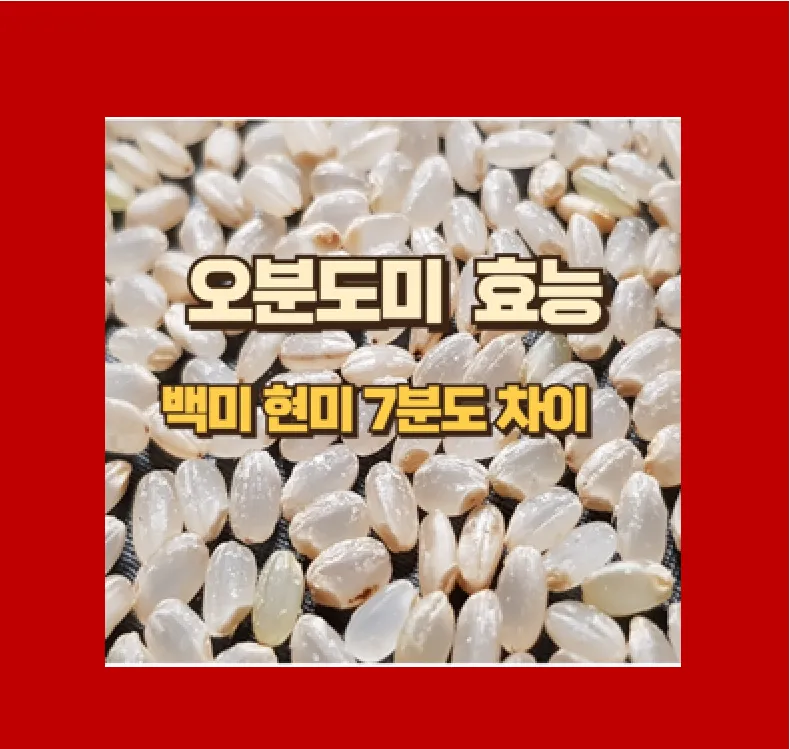 오분도미 효능
