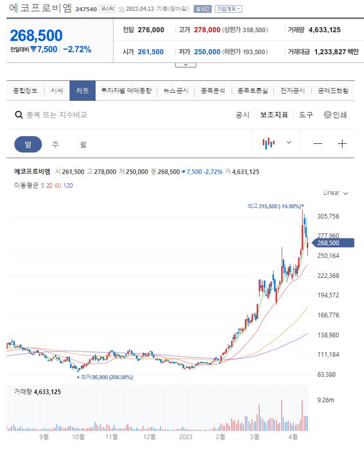 에코프로비엠 주가 정보