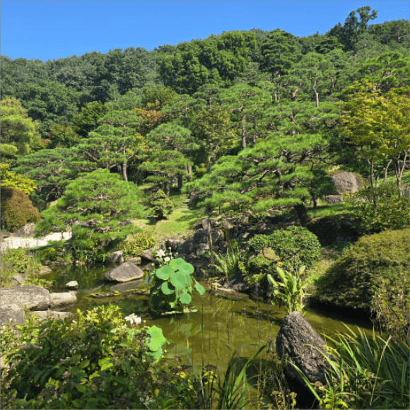 화담숲 예매하기