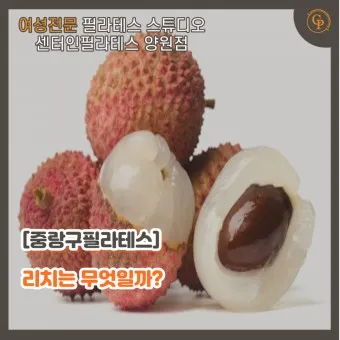 열대 과일 리치 건강 기능_4