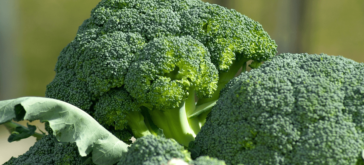 대장에 좋은 음식과 관련된 사진 - 11