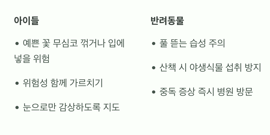 아이와 반려동물을 위한 안전 수칙