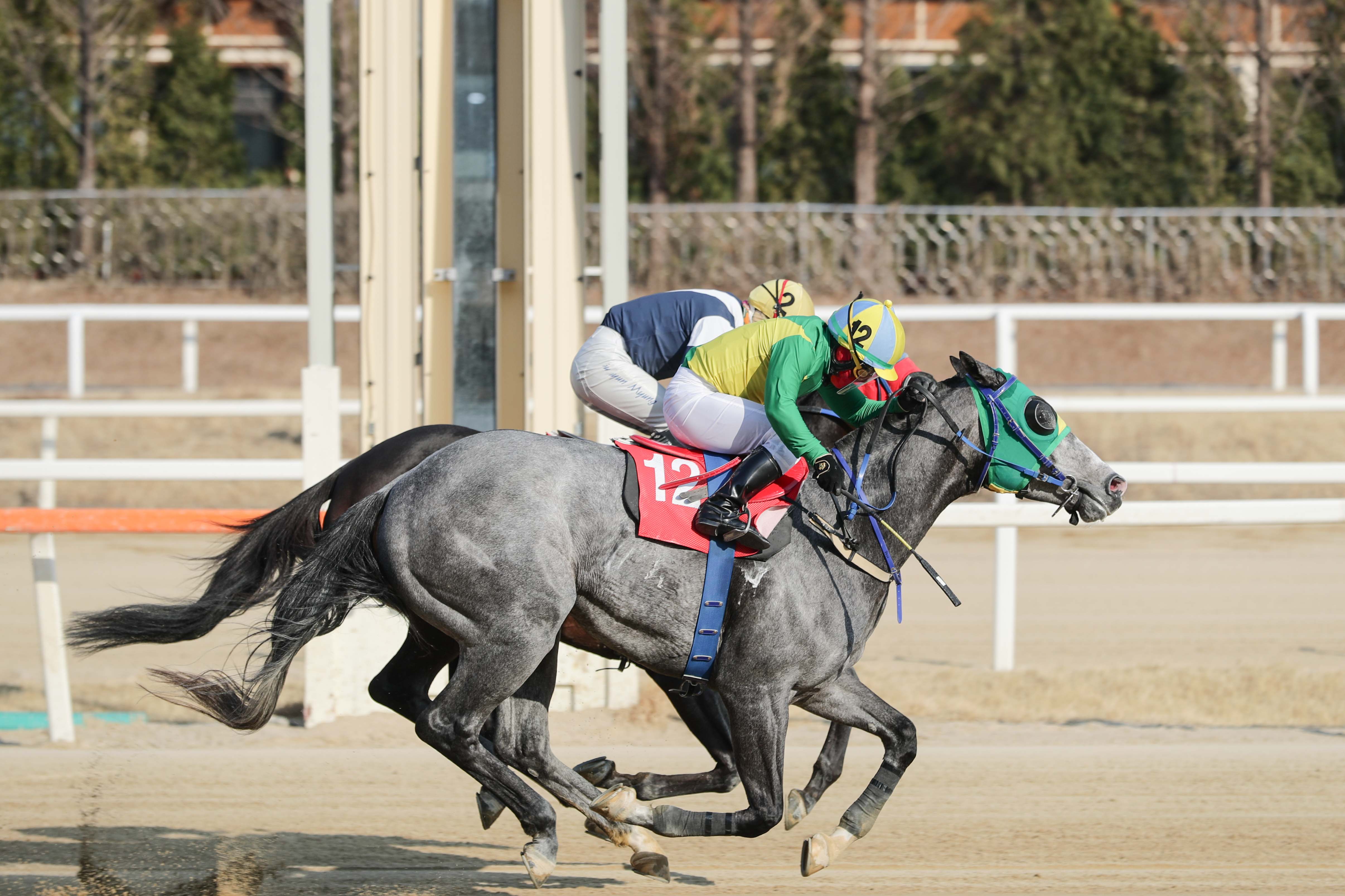 owner's cup 석세스백파