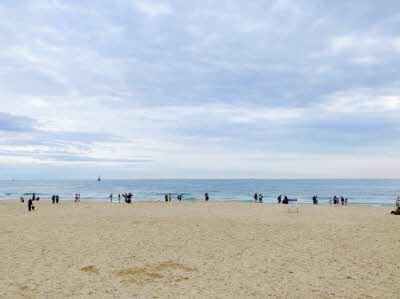 해수욕장 개장일