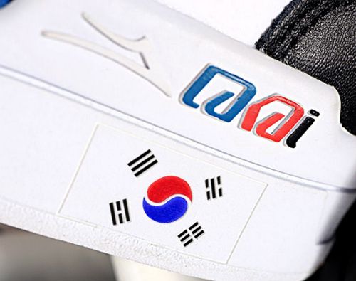 라카이-815에디션-태극기