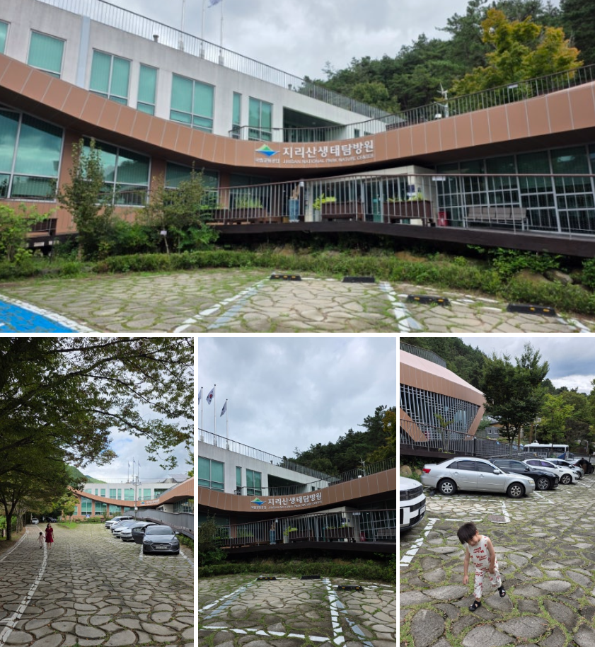 국립공원야생생물보전원 남부보전센터 반달가슴곰 탐방 후기 (우리의 친구 반달가슴곰을 만나요)