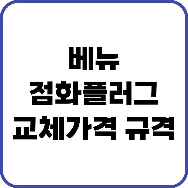 베뉴 점화플러그