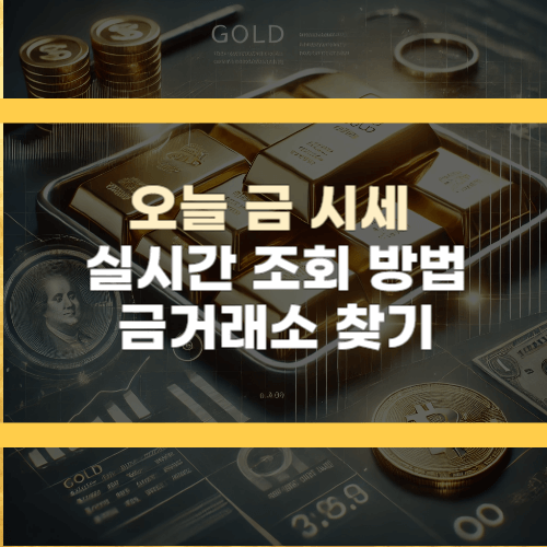 오늘의 금 시세 조회