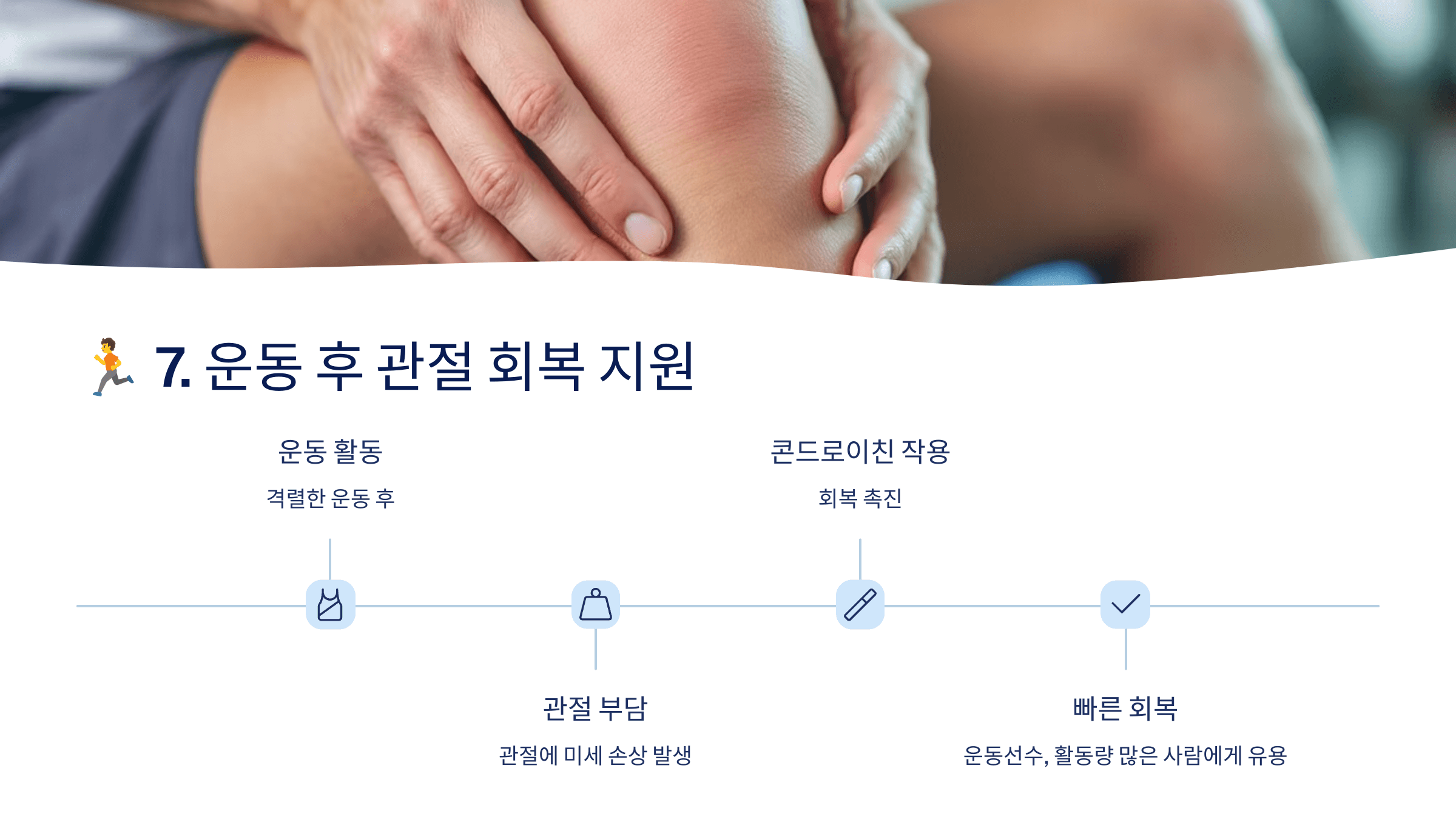 콘드로이친과 관련된 사진입니다.