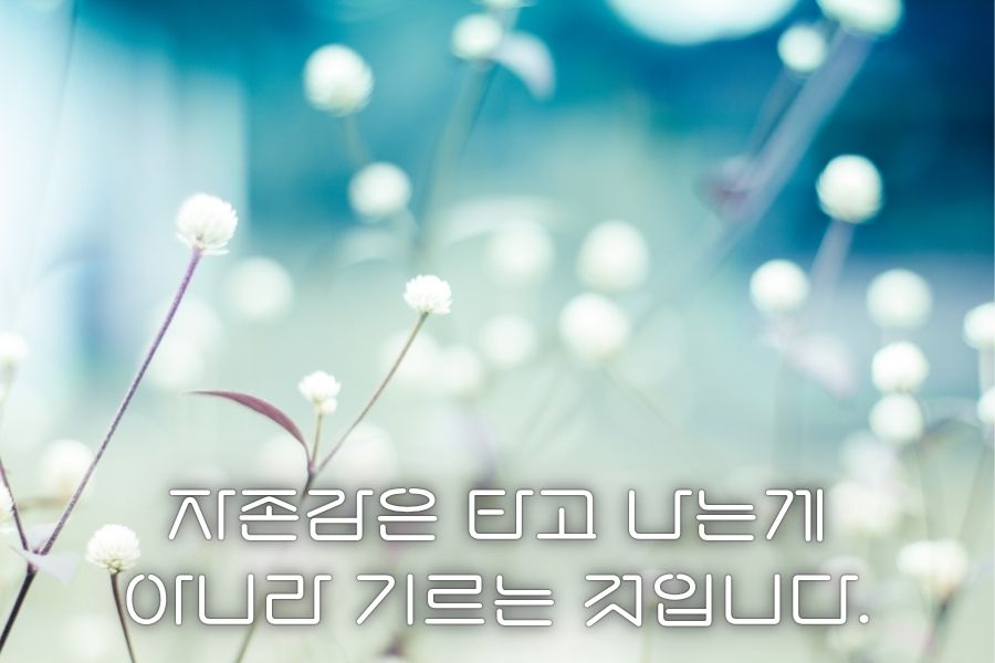 자존감은 타고 나는게 아니라 기르는 것