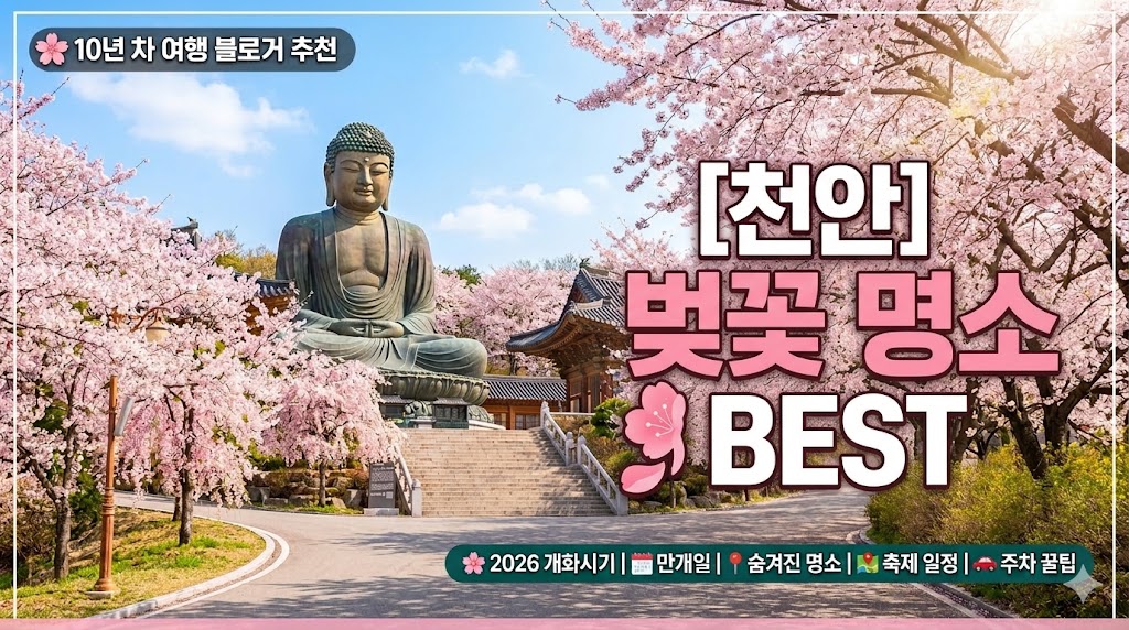 천안 벚꽃 명소