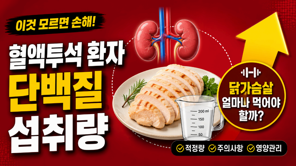 혈액투석 환자 단백질 섭취량 이미지사진