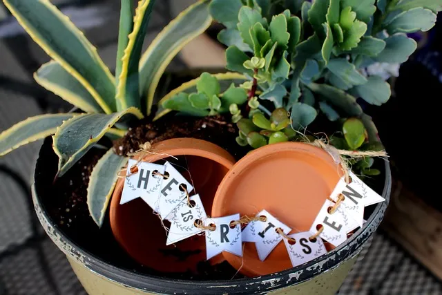 천주교 2025년 성주간 예수님의 수난 사랑_6