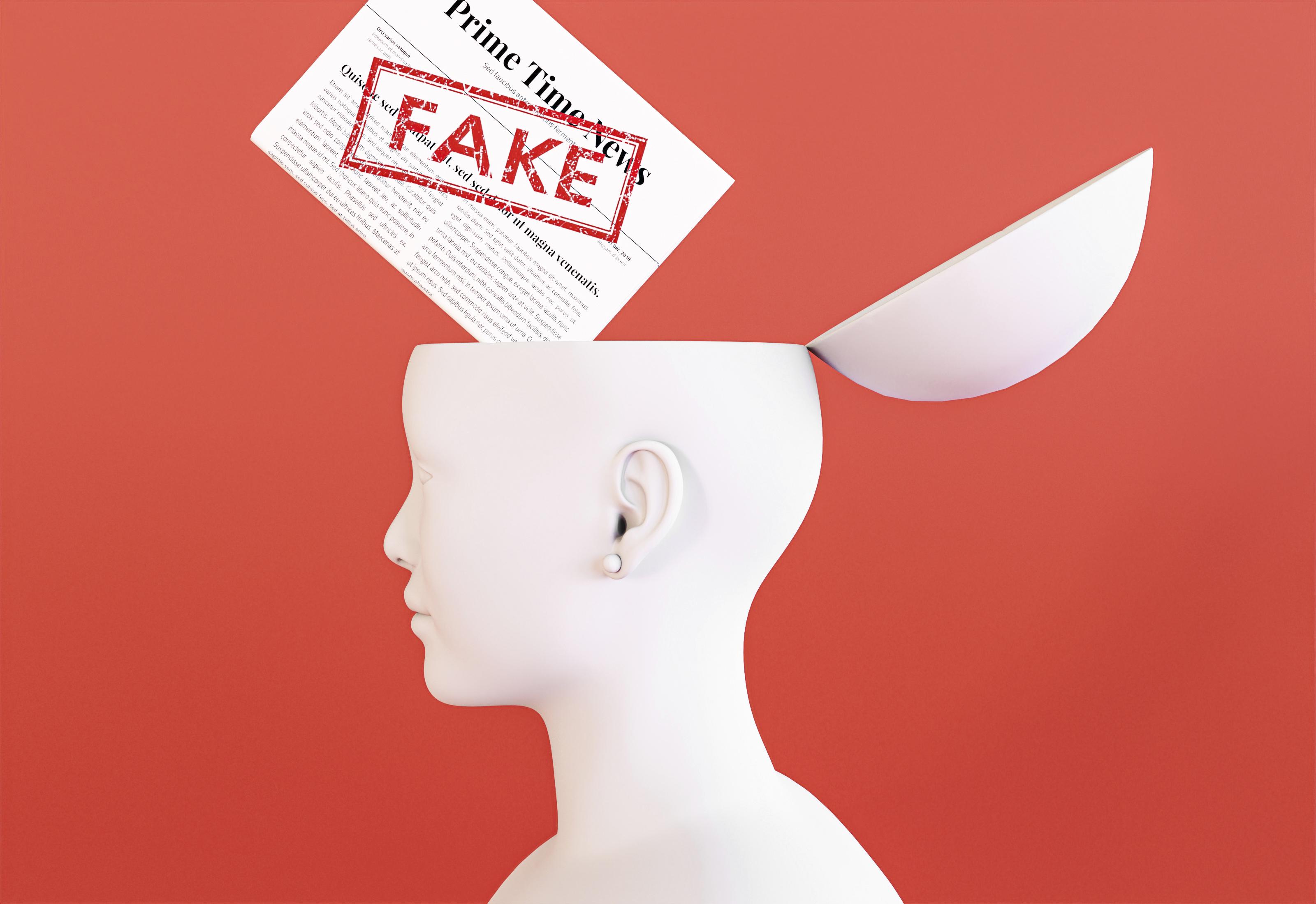 가짜 정보를 이미지로 표현