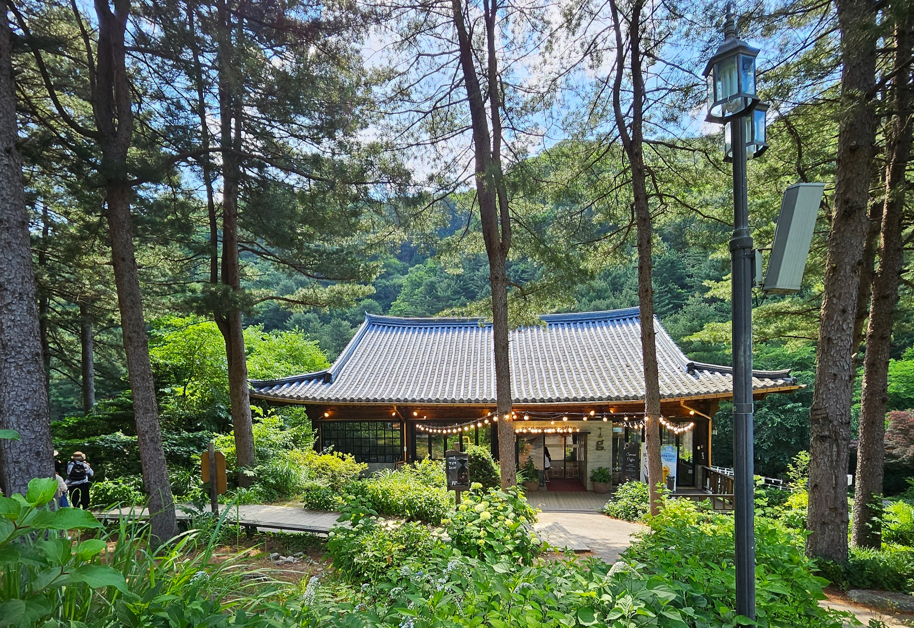 아침고요수목원 카페