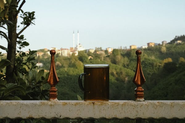 마음치유 사진8