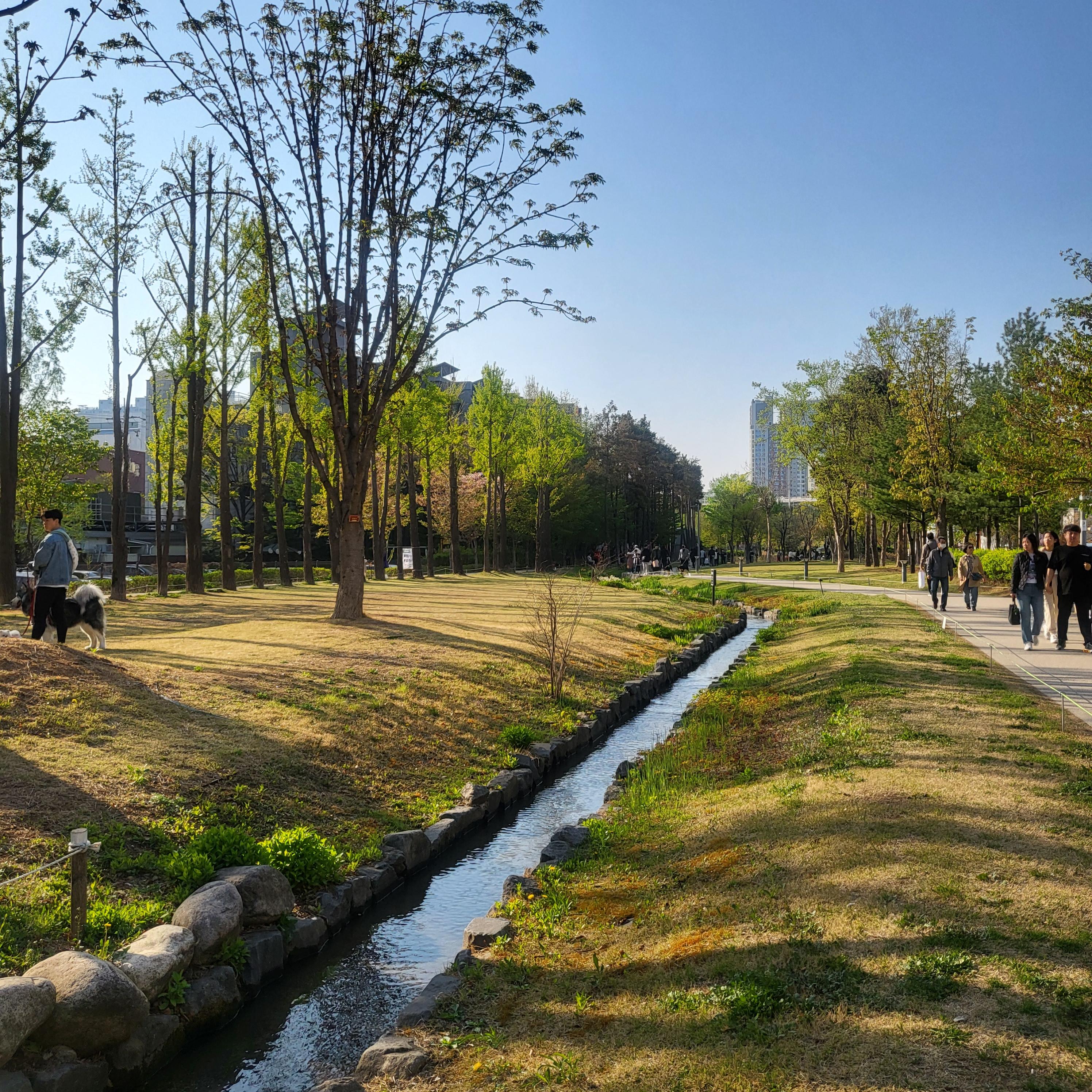 홍대연남동디저트